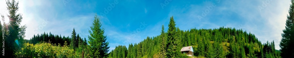 panorama of a hut on a background of forest in the mountains with a clear blue sky