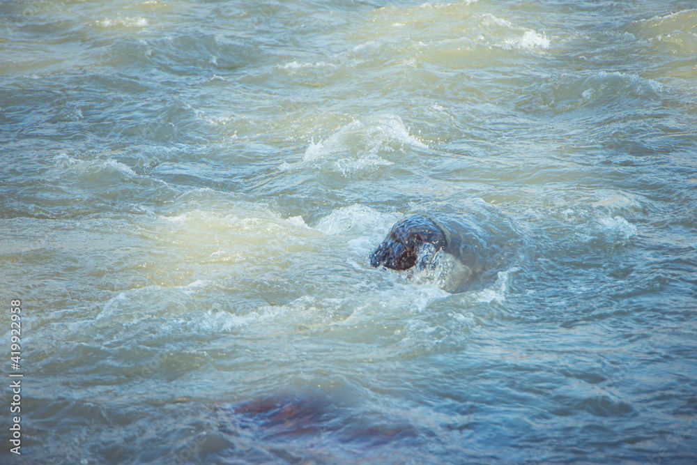 photo of the surface of the river. Water texture. Mountain river, spray and waves. Waves of green, blue and gray. Calm and tranquility. Fast flow of water,