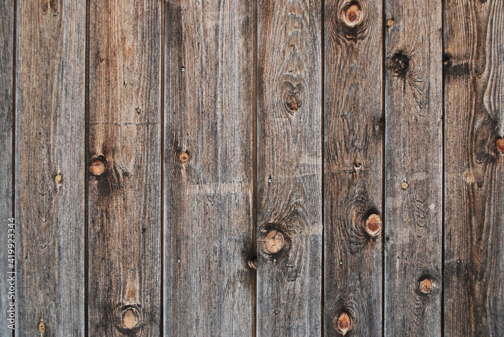 Obraz premium wood background