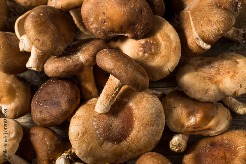 Raw Organic Shiitake Mushrooms