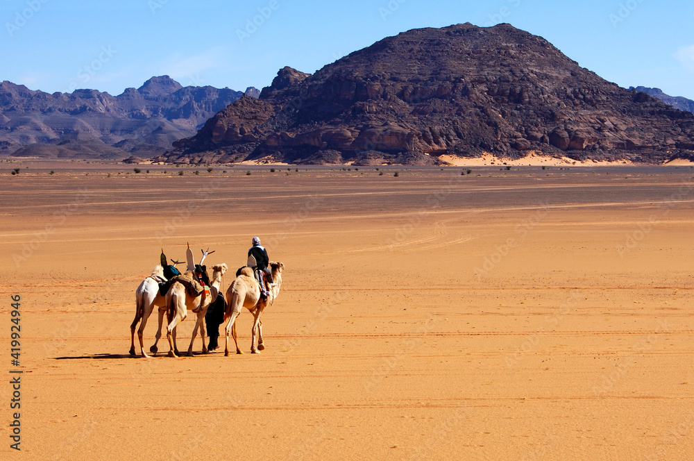 Camel Caravan Of The Tuareg Nomads Crossing A Vast Plain Inmidst The Acacous Mountains, Libya