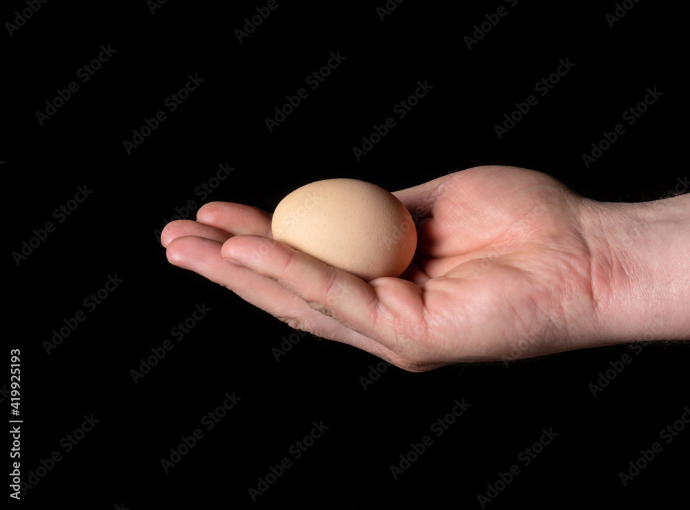 Male hand holding or giving brown chicken egg on black isolated background Male hand holding or giving brown chicken egg on black isolated background