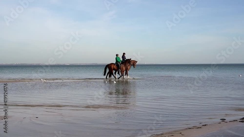 people ride horses along the shore of the baltic sea