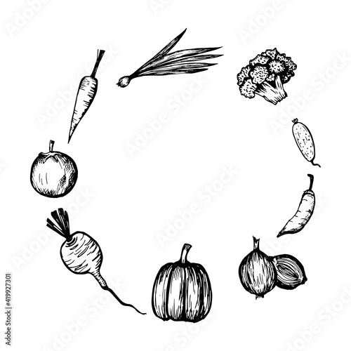 Vector frame of vegetables drawn by hand in the style of black and white graphics