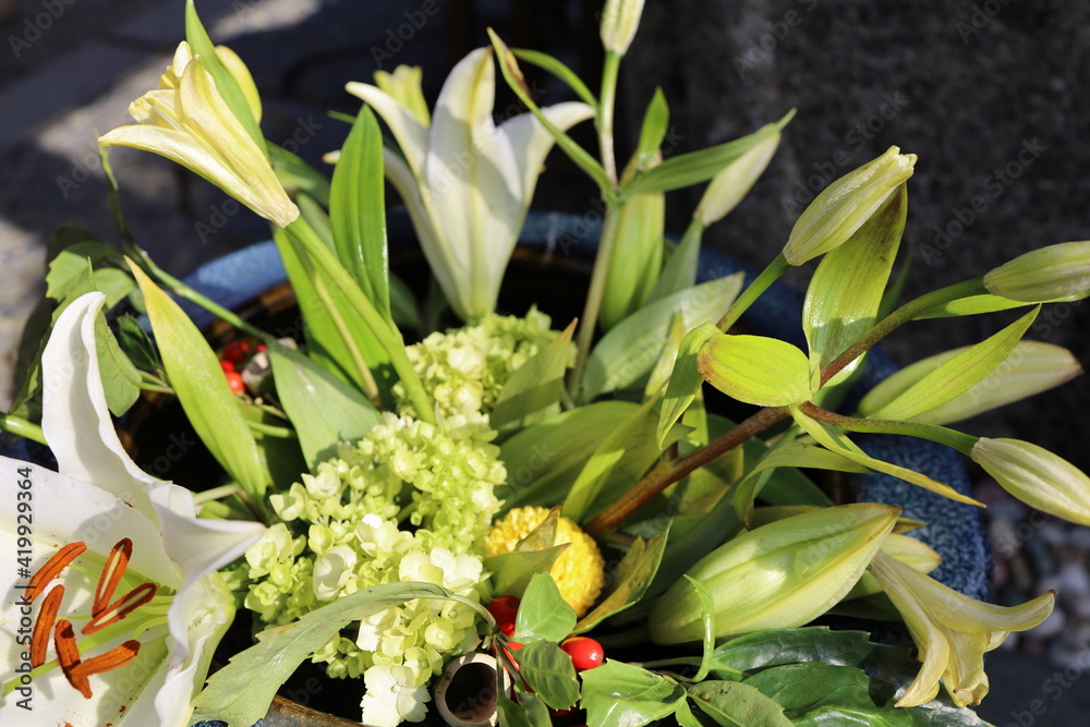 Obraz premium 花飾りのときめき