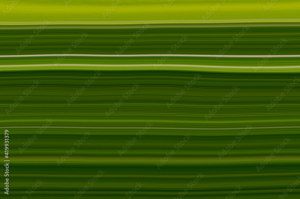 Abstract green and black background with beautiful fantasy ink patterns. Liquid paint. Art design for your design. Colorful bright combination of colors. Abstract green and black background with beautiful fantasy ink patterns. Liquid paint. Art design for your design. Colorful bright combination of colors.