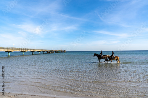 Fototapeta Naklejka Na Ścianę i Meble -  people ride horses along the shore of the baltic sea