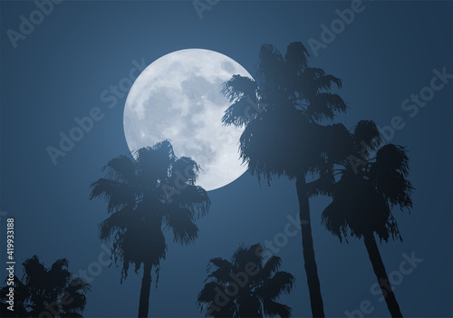 nice moon and palms