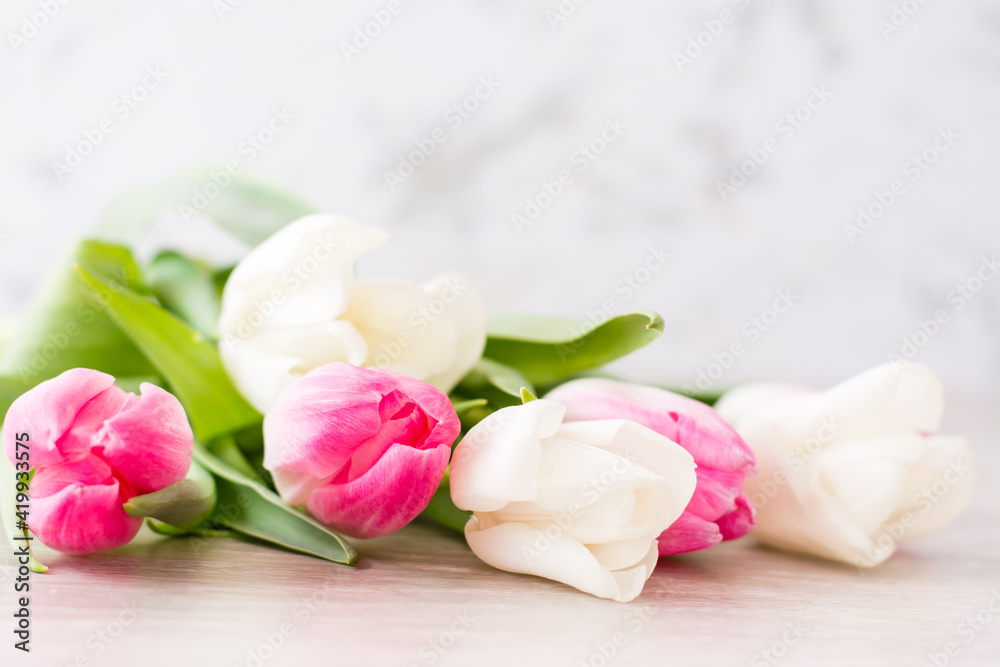 A bouquet of white and pink tulips with green leaves lies on the table. Selective focus. Delicate postcard