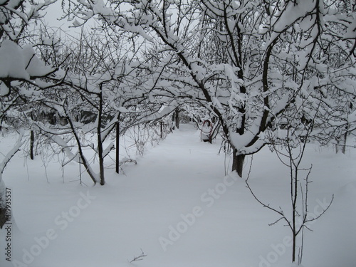 Beautiful winter landscape with snow and trees.