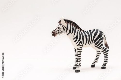 Realistic toy zebra made of plastic isolate on a white background. African animal for Children. Copy space