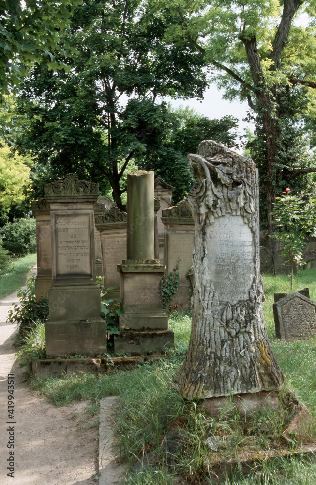 Graeberfeld auf dem juedischen Friedhof in Worms Graeberfeld auf dem juedischen Friedhof in Worms
