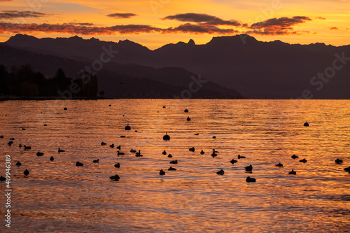 Sunset over sea. Dramatic sky with silhouettes of mountain and resting birds. Lausanne  Switzerland.