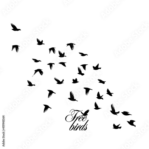 A large flock of flying birds. Free birds. Vector illustration