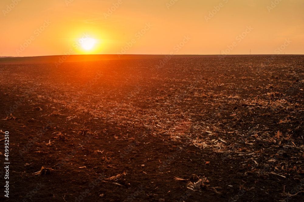 plowed field, textured arable land in the red light of the sunset plowed field, textured arable land in the red light of the sunset