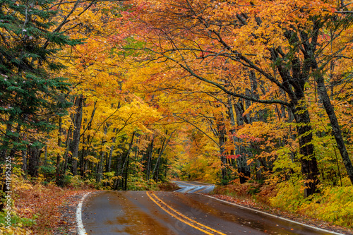 Highway 41 covered roadway in autumn near Copper Harbor in the Upper Peninsula of Michigan, USA © Danita Delimont