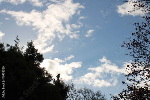 Blue sky, clouds and tree