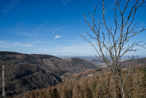 Harz Mountains in Germany