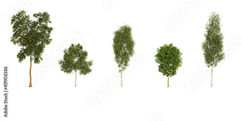 Arboles para post-producción de fachada y cortes en arquitectura