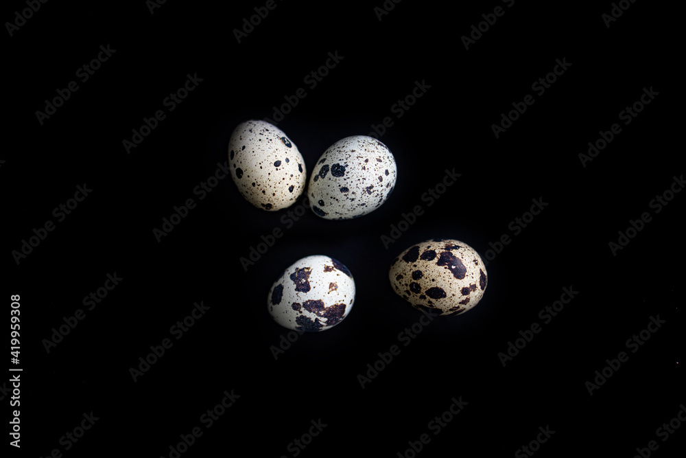 little quail eggs on a bright smooth black background in close-up