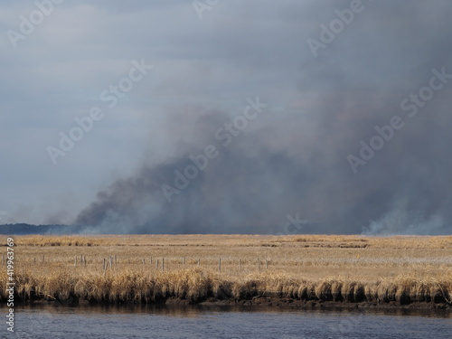 planned wildfires in Chesapeake Bay