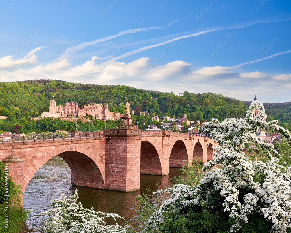 Panoramic view of Heidelberg town in Germany. The Old Bridge over the River Neckar in Spring with white flowers in bloom