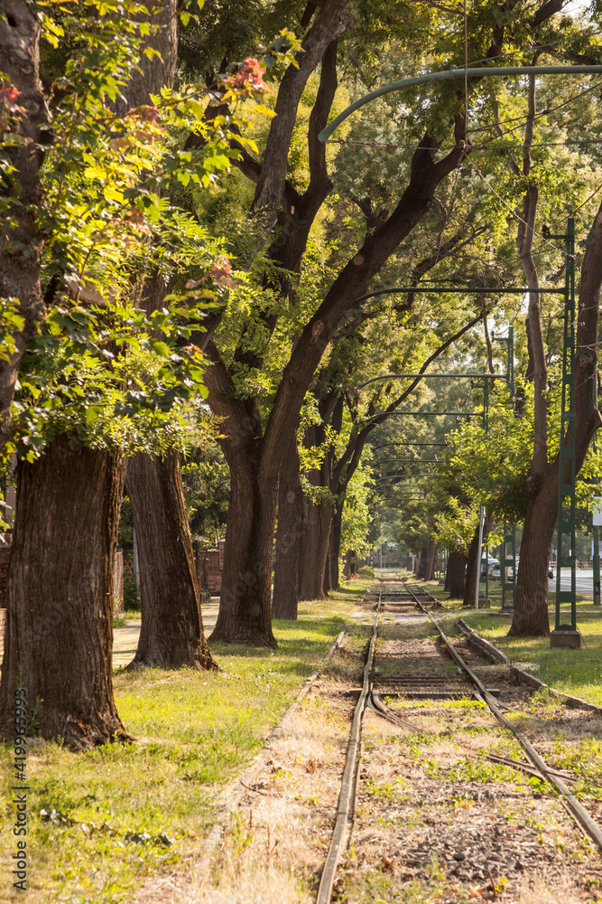 Naklejka premium Old and neglected tram track, on a tramway line of szeged, Hungary, with grass growing and trees around. The railway line is in poor condition due to neglected maintenance. 