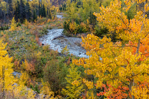 Autumn color along Divide Creek in Glacier National Park, Montana, USA