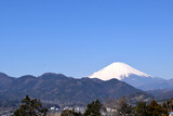 春の松田山からの残雪の富士山展望