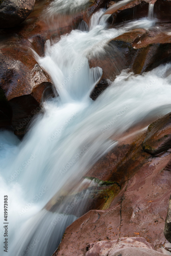 Fototapeta premium USA, Montana. Avalanche Creek, Glacier National Park.