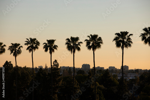 Palm lined sunset view of the downtown skyline of Anaheim, California, USA. © Matt Gush