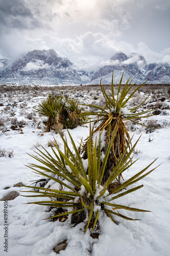 Photography USA, Nevada, Las Vegas, Rare snowfall at Red Rock Canyon