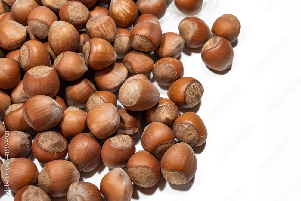 macro photo of natural hazelnuts on a white background in the left edge of the frame macro photo of natural hazelnuts on a white background in the left edge of the frame