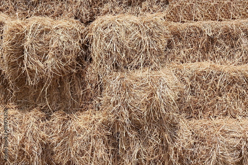 Rice straw is the remainder from the rice planting.It is considered a rough source of food for cattle and buffaloes during the dry season,used for crafts,as an alternative energy.Or decorate tourist 
