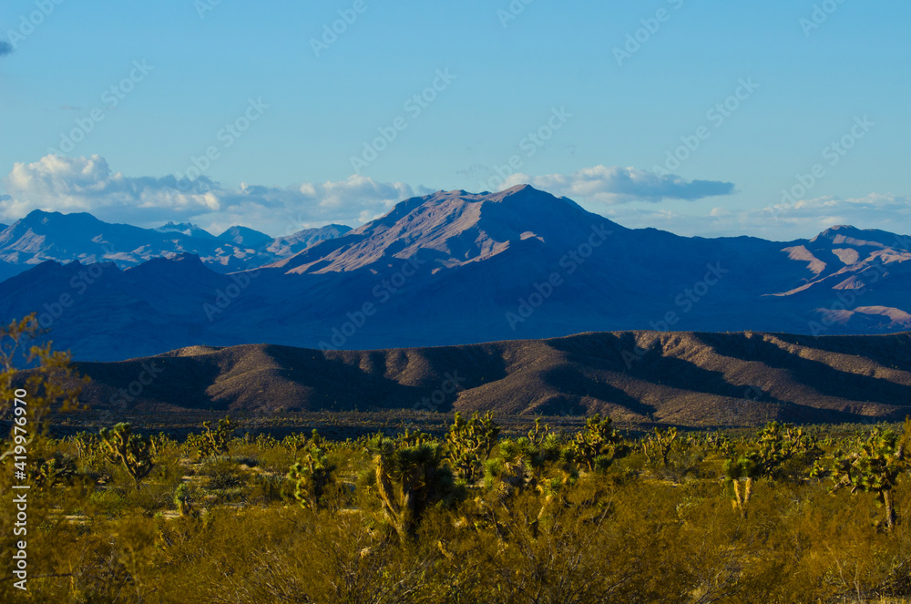 USA, Nevada, Mesquite. Gold Butte National Monument, Mica Peak.