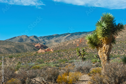 Valokuva USA, Nevada, Mesquite