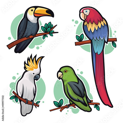 vector illustration of bird designs
