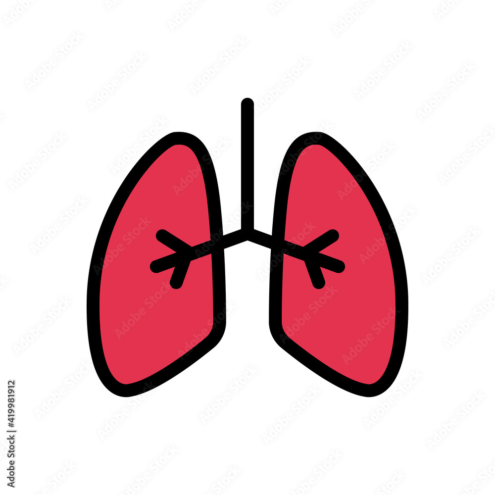 lungs lungs