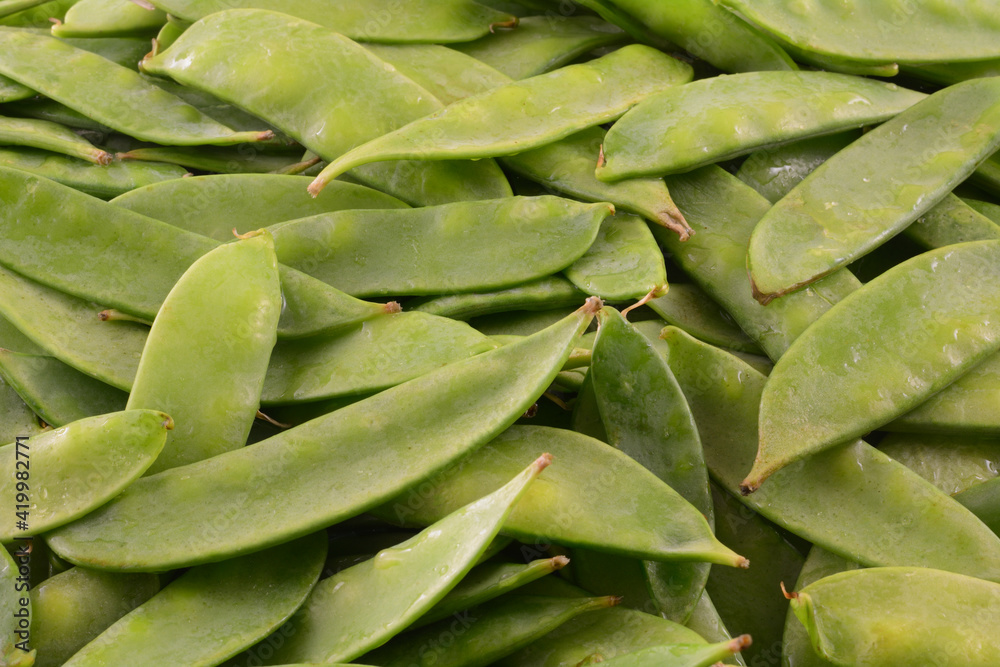 Freshly rinsed raw green snow peas healthy vegetable background closeup Freshly rinsed raw green snow peas healthy vegetable background closeup