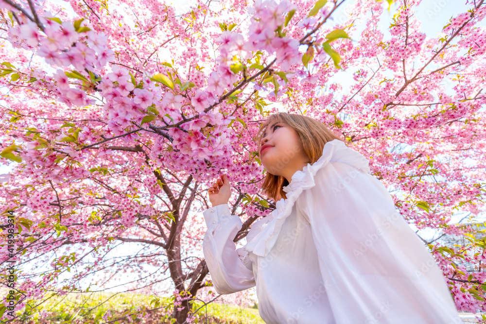 河津桜と若い女性