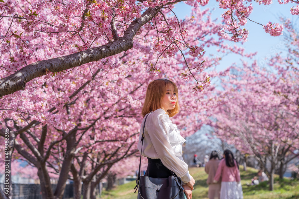 河津桜と若い女性