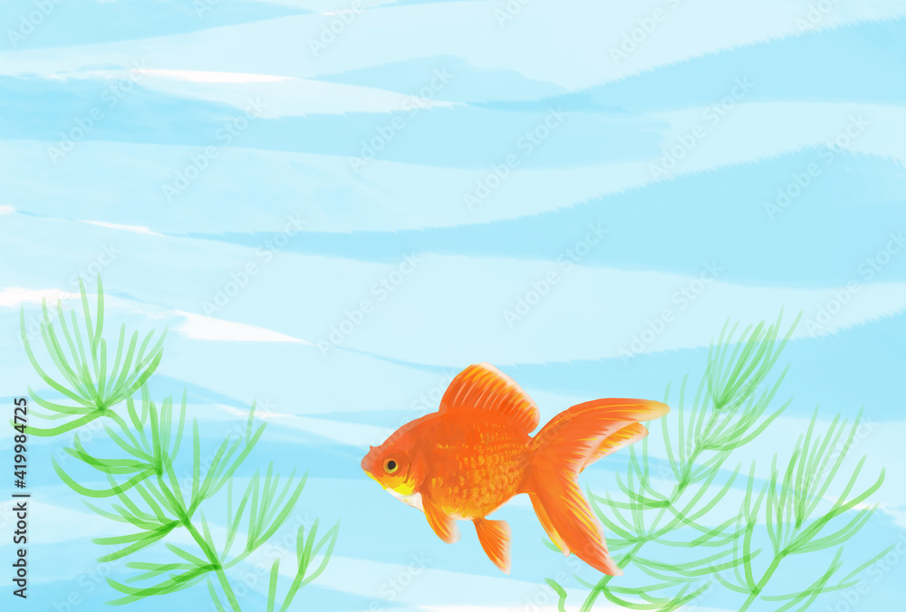 水槽に金魚が泳いでいる夏イメージの背景イラスト Stock Illustration Adobe Stock