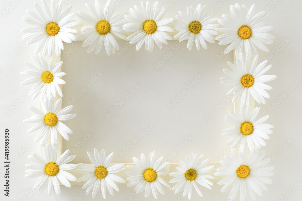 flower frame flower frame