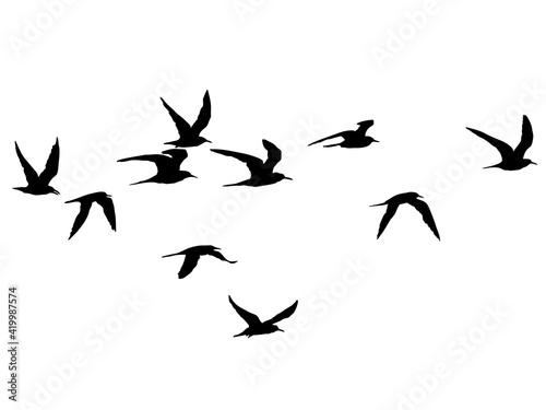羽ばたく鳥の群れのシルエット © mark