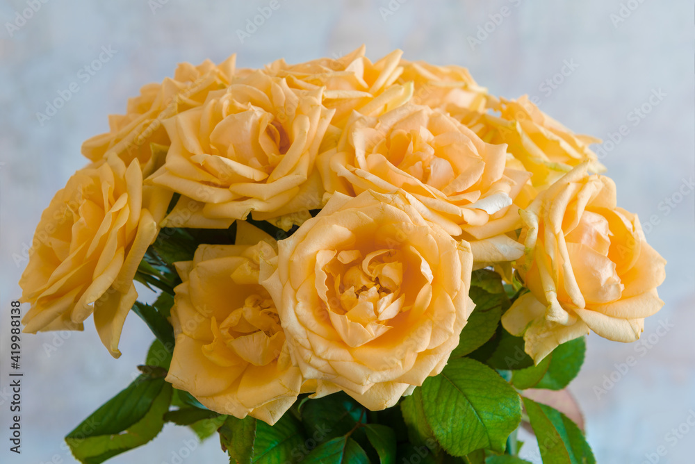 Bouquet of cream tea roses on blurred background Bouquet of cream tea roses on blurred background
