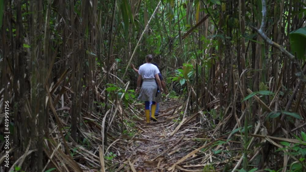Woman Walks Down A Narrow Trail Through A Tall Lush Bamboo Forest In Sunshine Woman Walks Down A Narrow Trail Through A Tall Lush Bamboo Forest In Sunshine