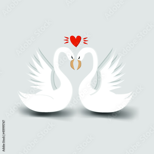 vector illustration of swans in love. Isolate on a light background with shadows. swans.