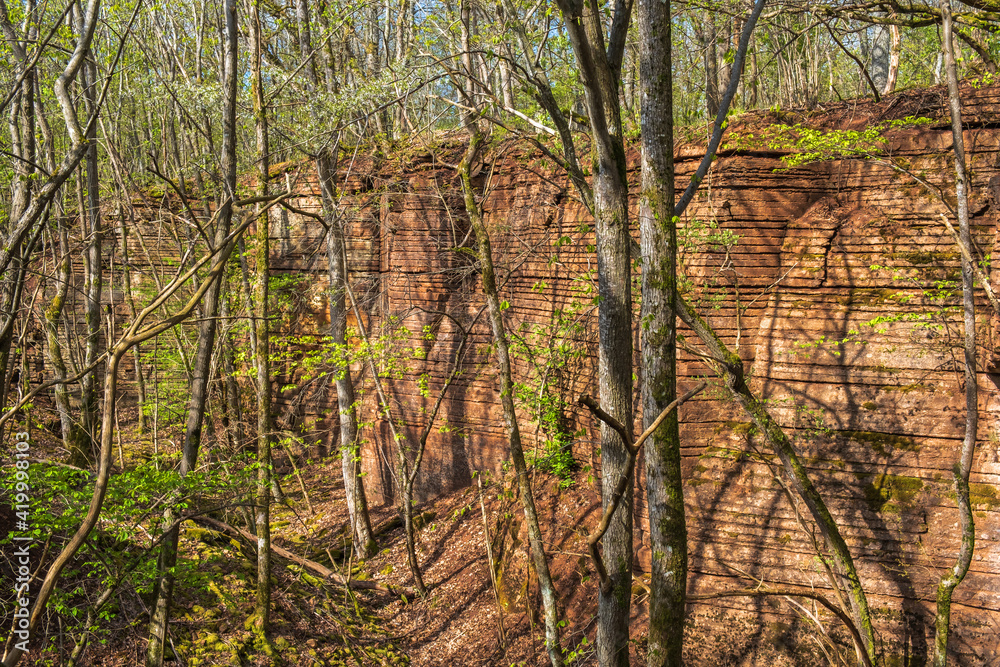 Rock face in a budding forest at spring Rock face in a budding forest at spring