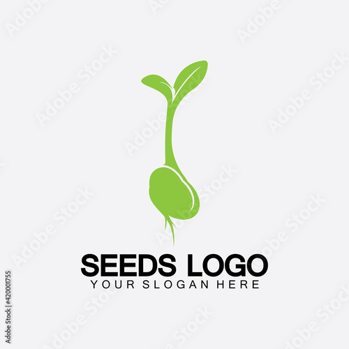 Plant Seeds Logo Concept Template Vector.growing seed logo.Seed grow Vector logo illustration design template