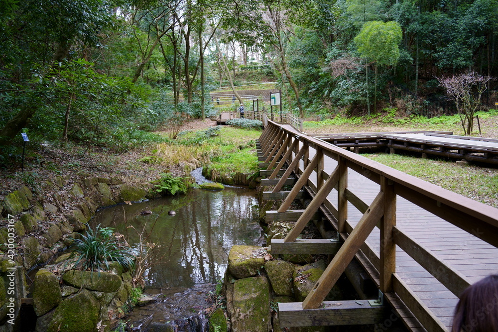 橋 橋